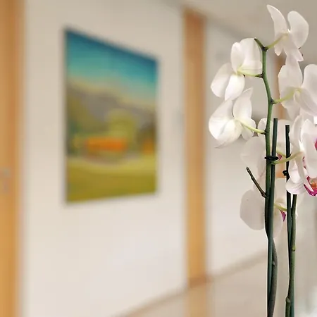 Galerie Hotel